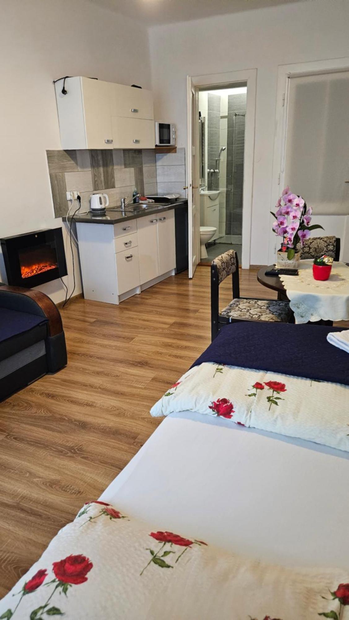 Apartament Providentia Zakopane Witkiewicza 3 Dış mekan fotoğraf